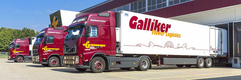 Galliker Transport Logistik TopPicture 088
